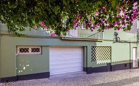 Green Urban Oasis